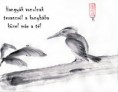 /album/termeszet-haikuk/kozel-mar-a-tel-jpg/